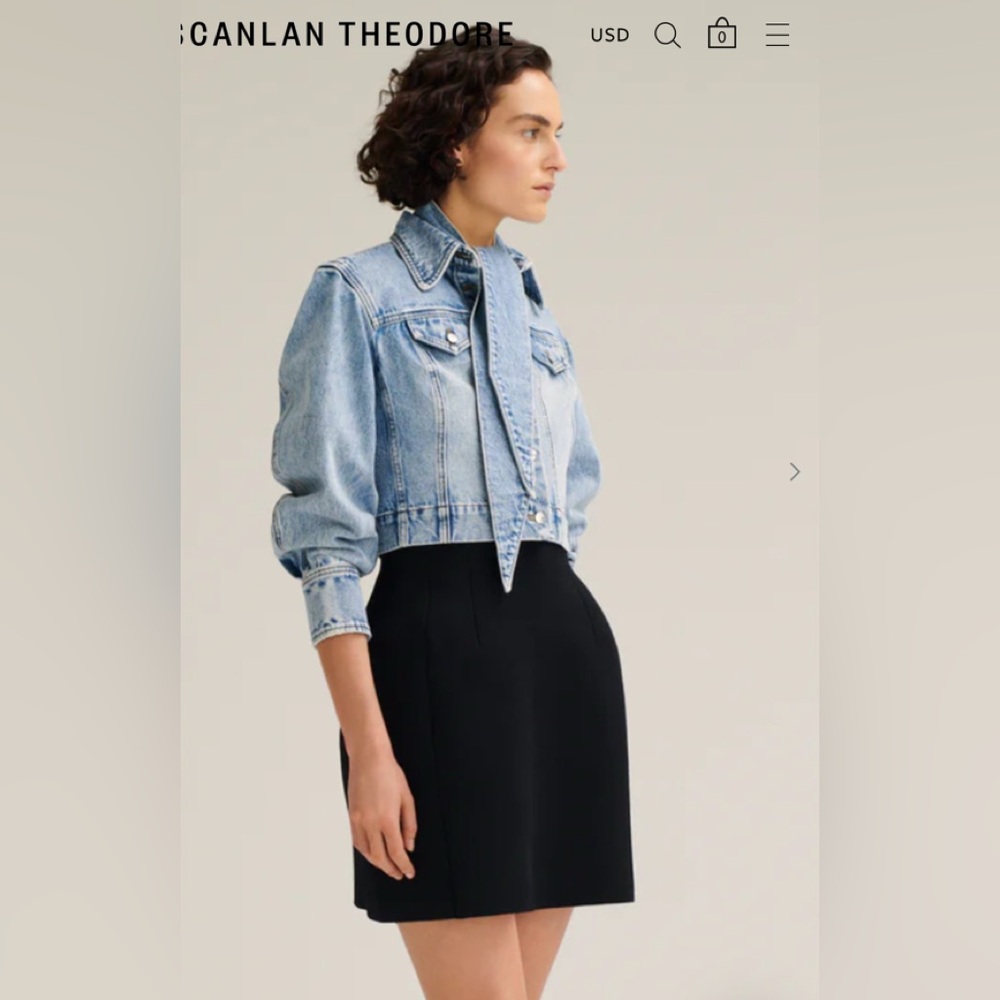 NWT [$400] Scanlan Theodore Classic Navy A-Line Skirt. size Small - Picture 2 of 9